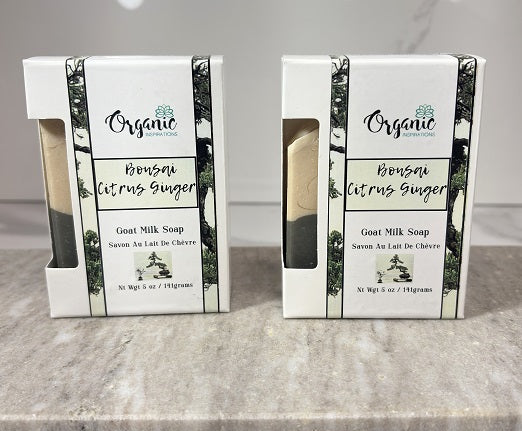 Bonsai Citrus Ginger Goat Milk Soap Organic inspirations