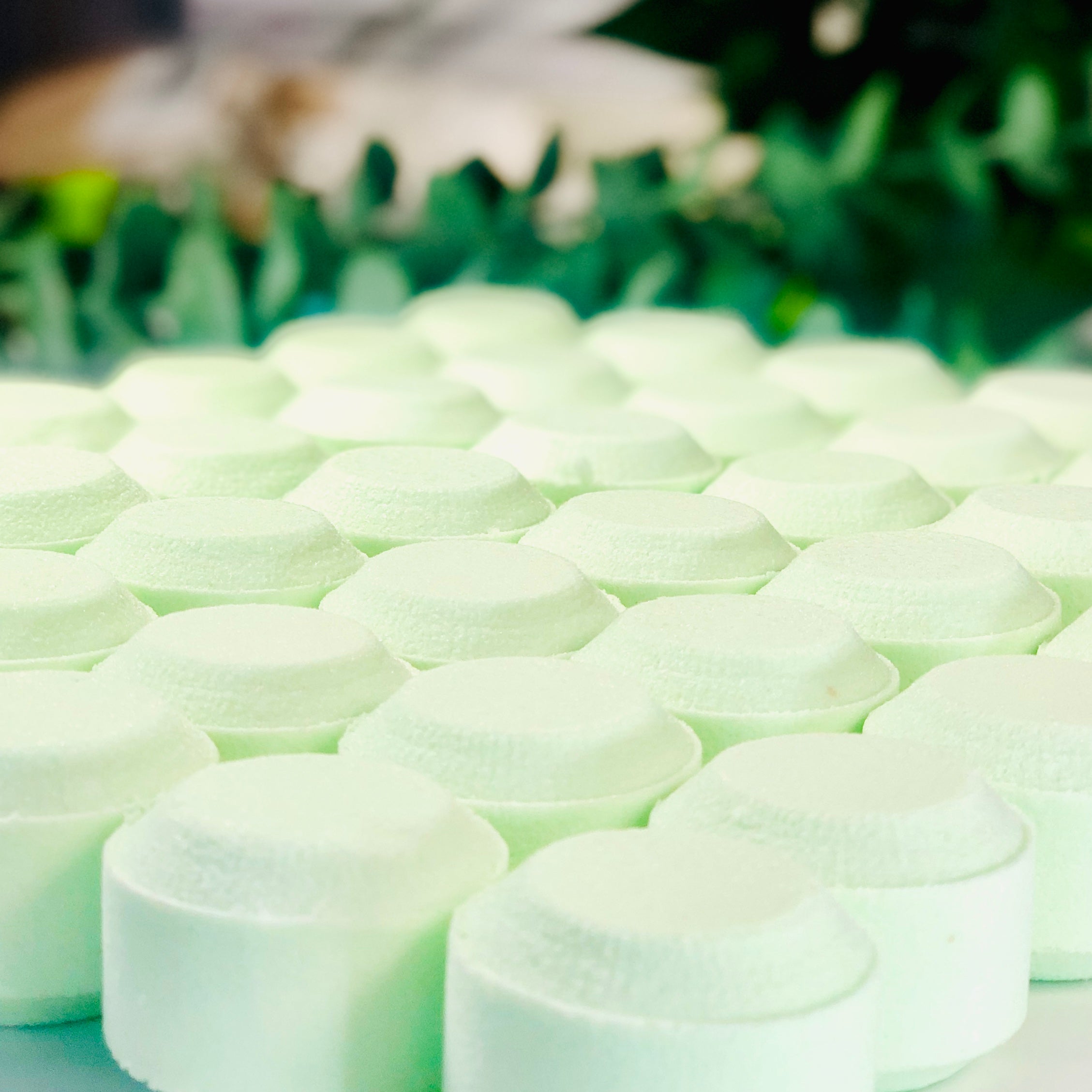 Winter Mint Shower Steamers Organic inspirations