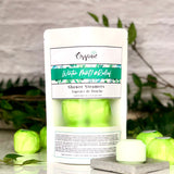 Winter Mint Shower Steamers